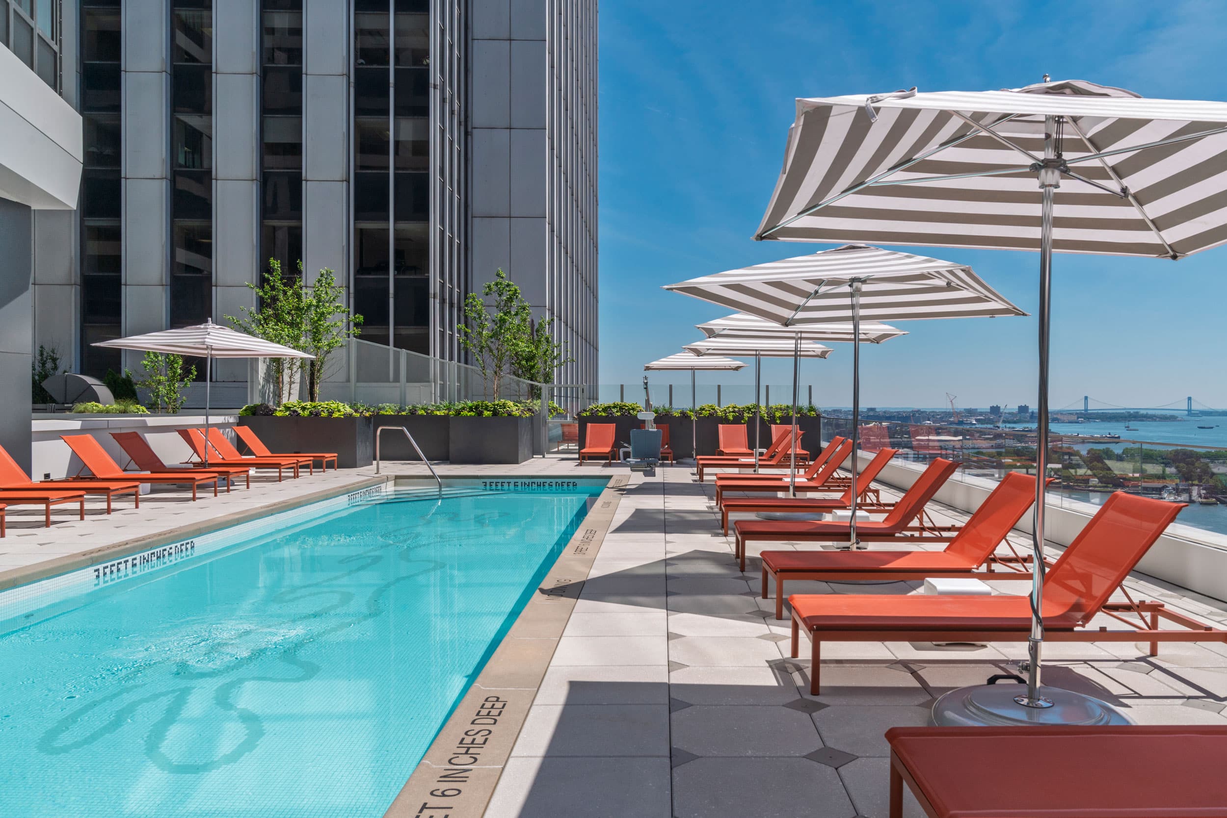 Rooftop Pool
